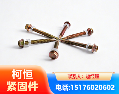 南平六角钻尾丝